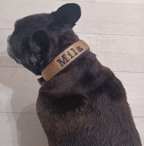 Collier Animaux